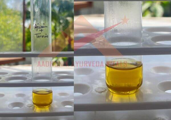 tannin-testing-in-ajwain-hydrosol