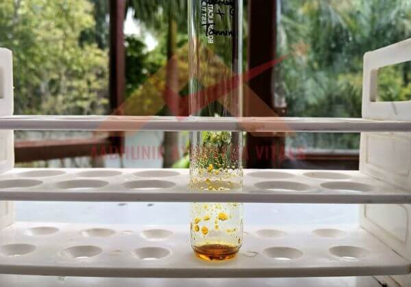 tannin-testing-in-rosemary-essential-oil