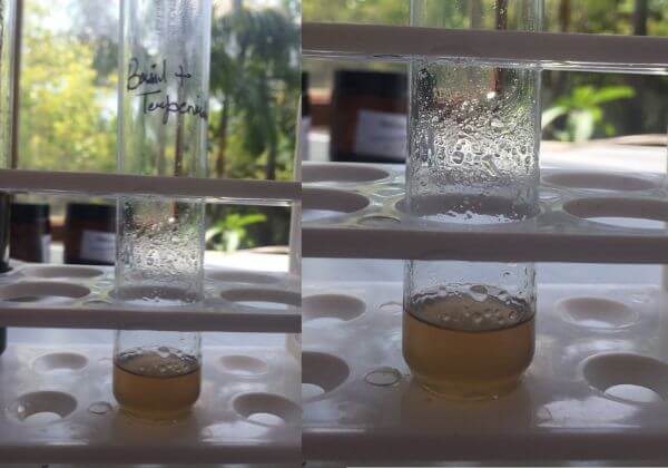 terpenoids-testing-in-basil-hydrosol