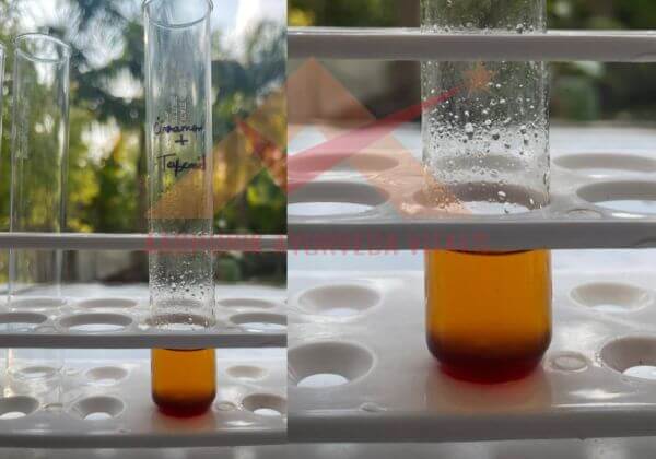 terpenoids-testing-in-cinnamon-hydrosol