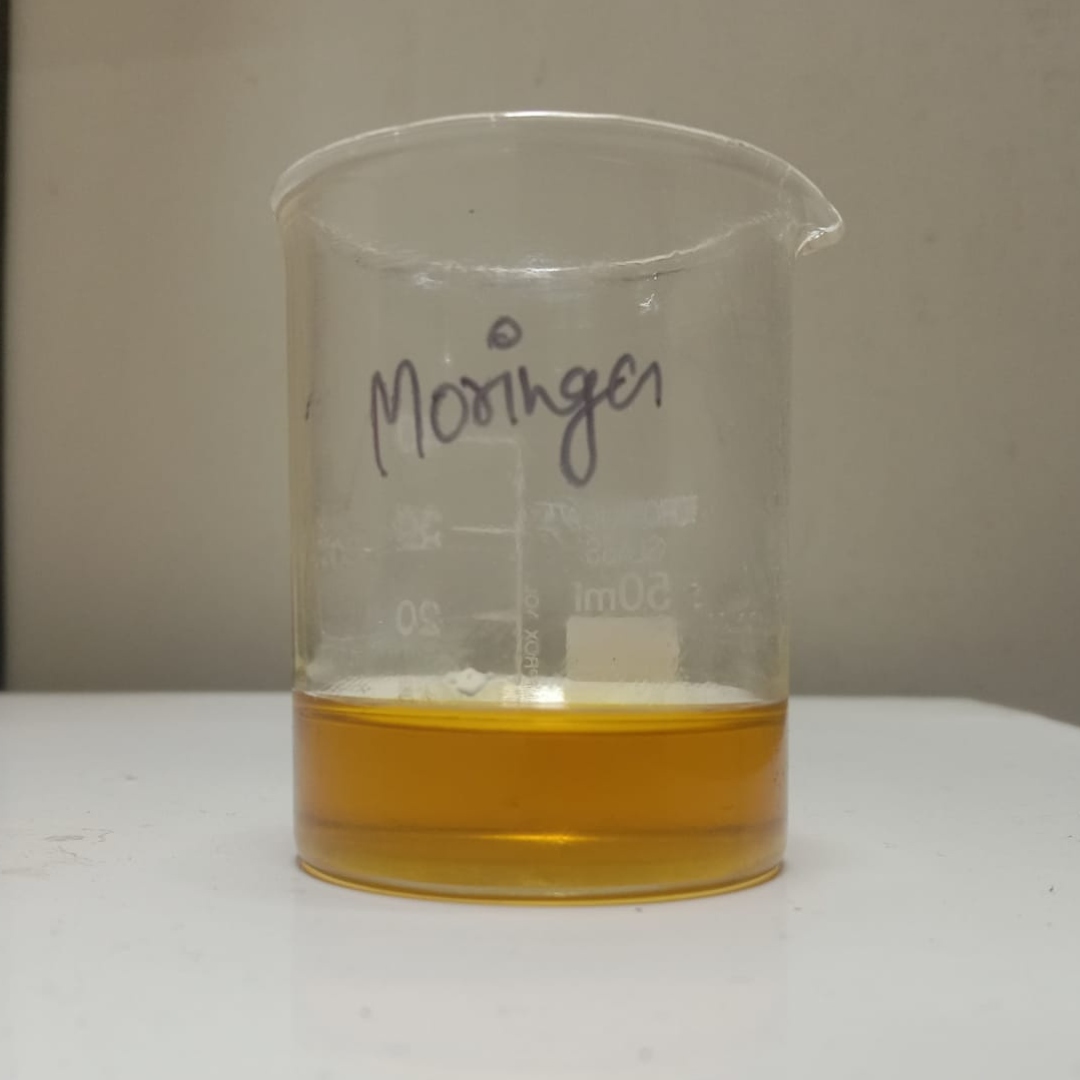 testing-Moringa-oil