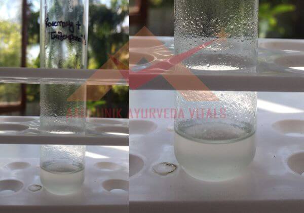 triterpenoids-testing-in-rosemary-hydrosol