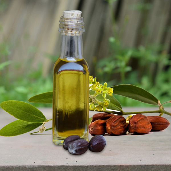 cold-pressed-jojoba-oil