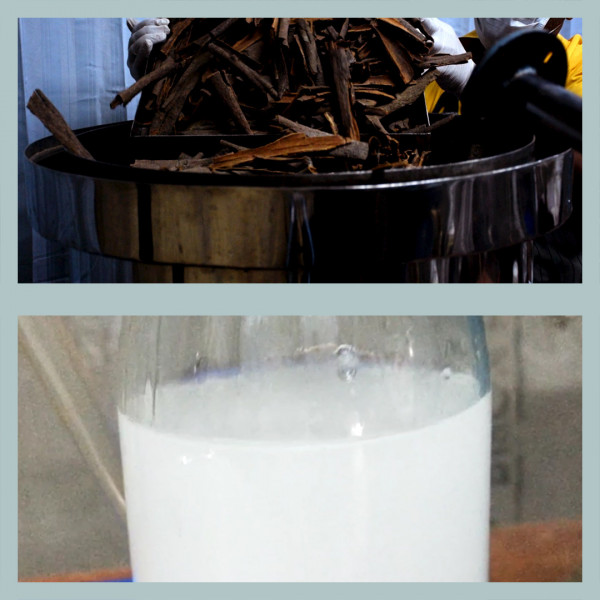 vetiver face toner