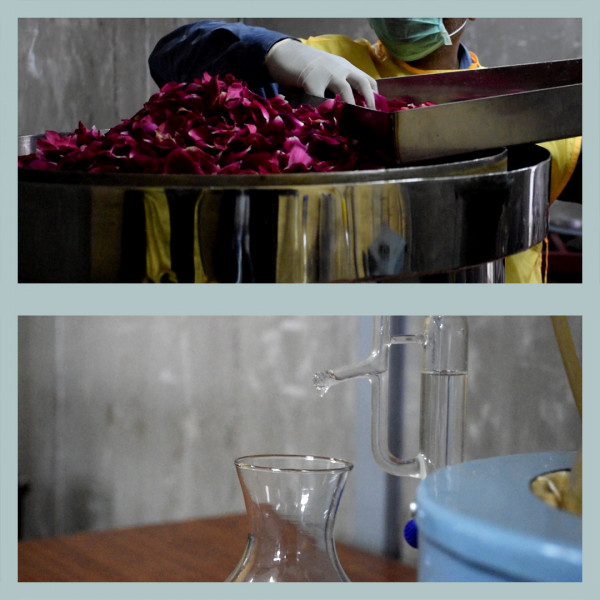 manufacturerof face toner