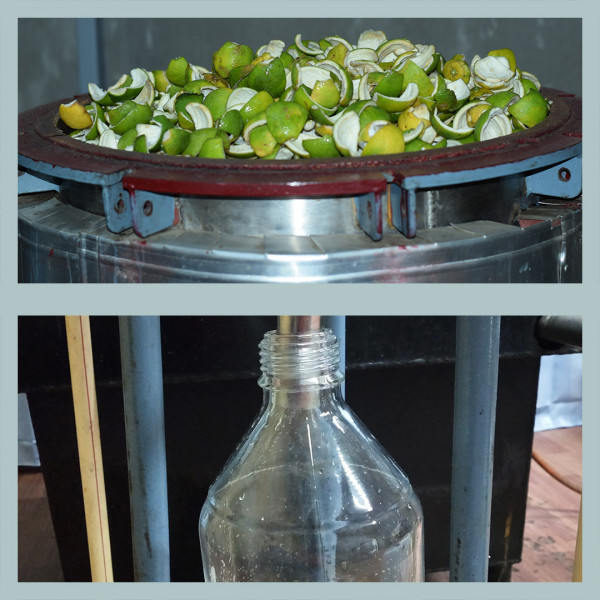 herbal face toner maker