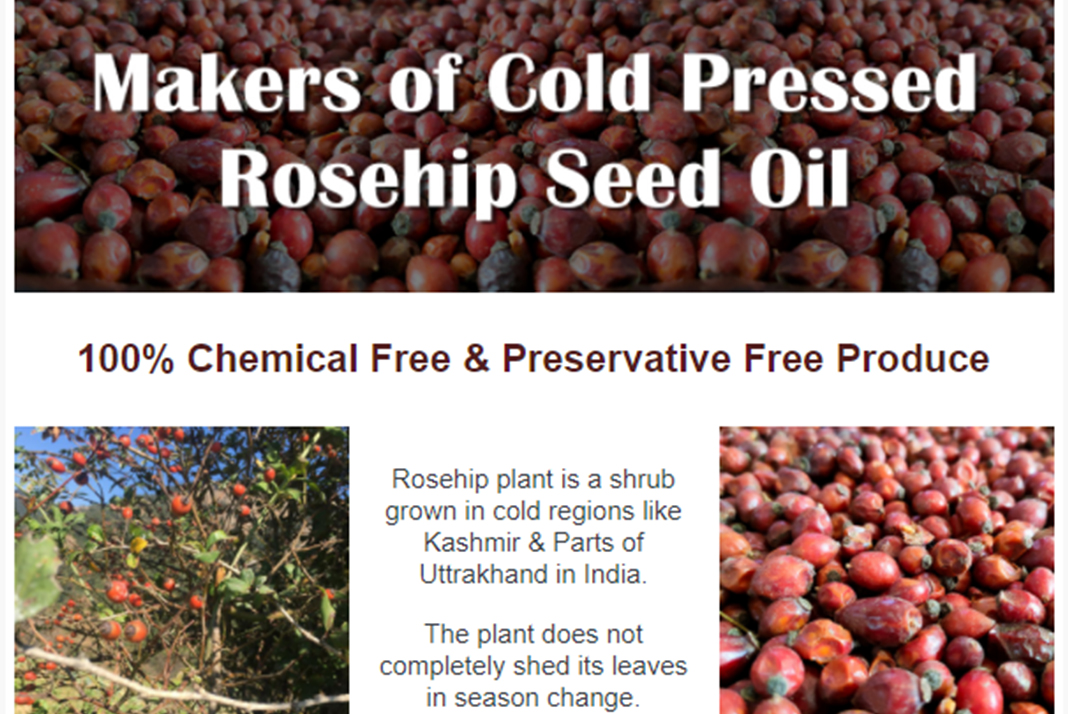 rose hip seed oil manufacturer,rose hip oil exporter,organic rose hip oil supplier,roseship seed oil wholesaler,cold pressed rose hip oil