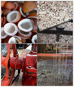 coconut oil manufacturer,oil supplier,oil exporter,bulk oil supplier,coconut-oil-making