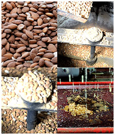 best edible gurbandi oil manufacturer,Brain & nerve nourishment oil exporter in india,oil for Scar & spot reduction,cold pressed oils suppliers in india,cold pressed oil manufacturers near me,cold pressed oil manufacturers in india,cold pressed oil dealers near me