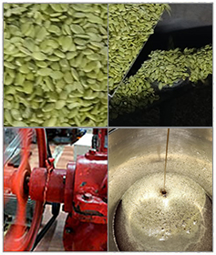 natural source of magnesium,manufacturer of natural follicles Strengthner,Phytosterols oils supplier,pumpkin-seed-oil,seed oil manufacturer,mustard oil manufacturers in ambala,manufacture of cotton seed oil