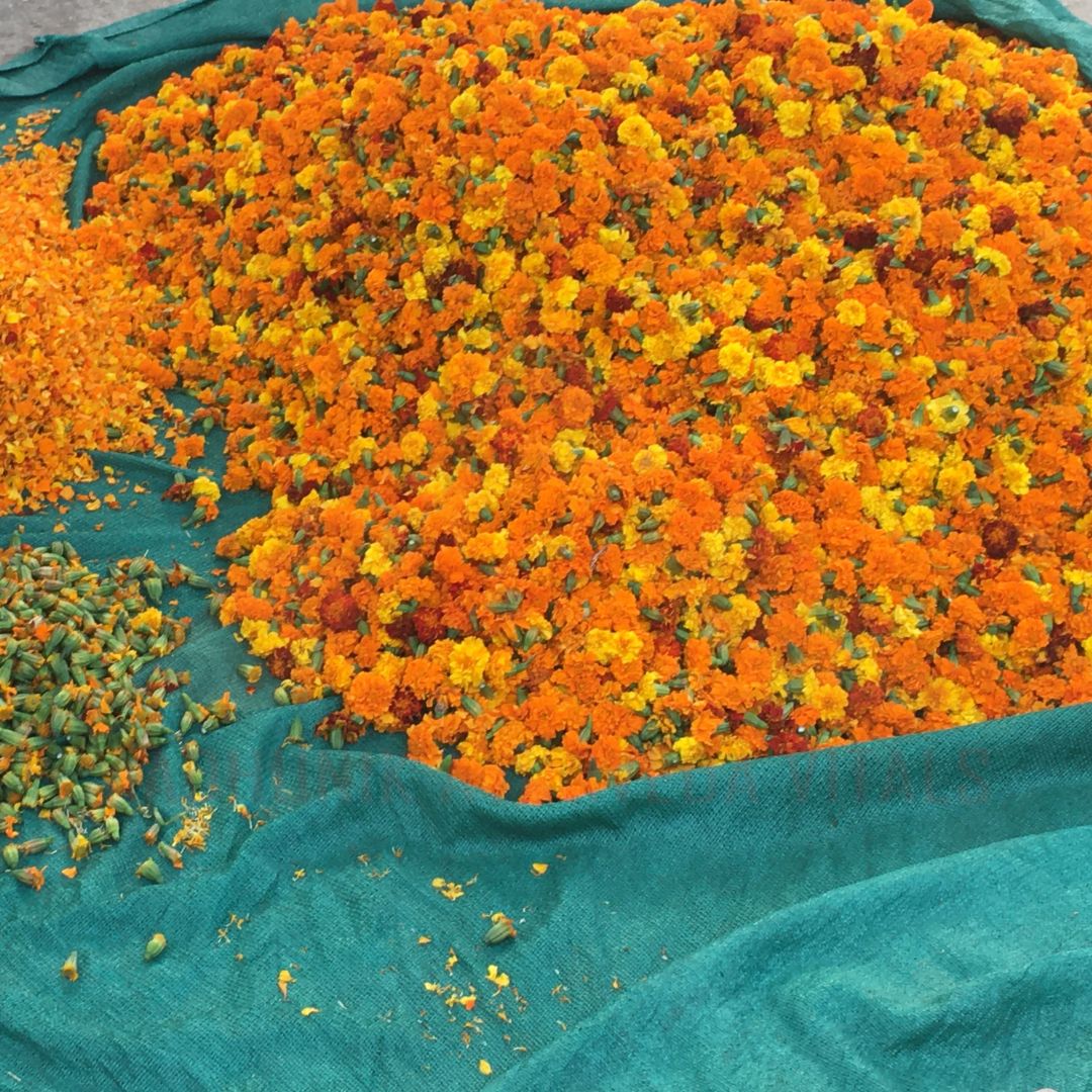 aadhunik-ayurveda-vitals-india-top-natural-organic-certified-private-label-skincare-manufacturer.jpg