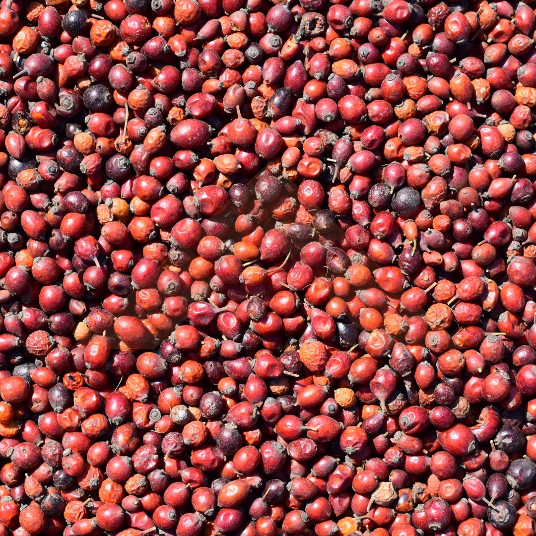 best-private-label-rosehip-oil-manufacturer-in-india.jpg
