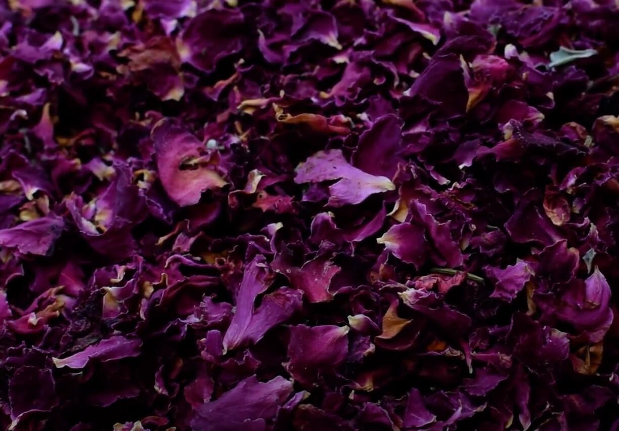 dry-rose-petals-powder-manufacturer-in-india-world.jpg