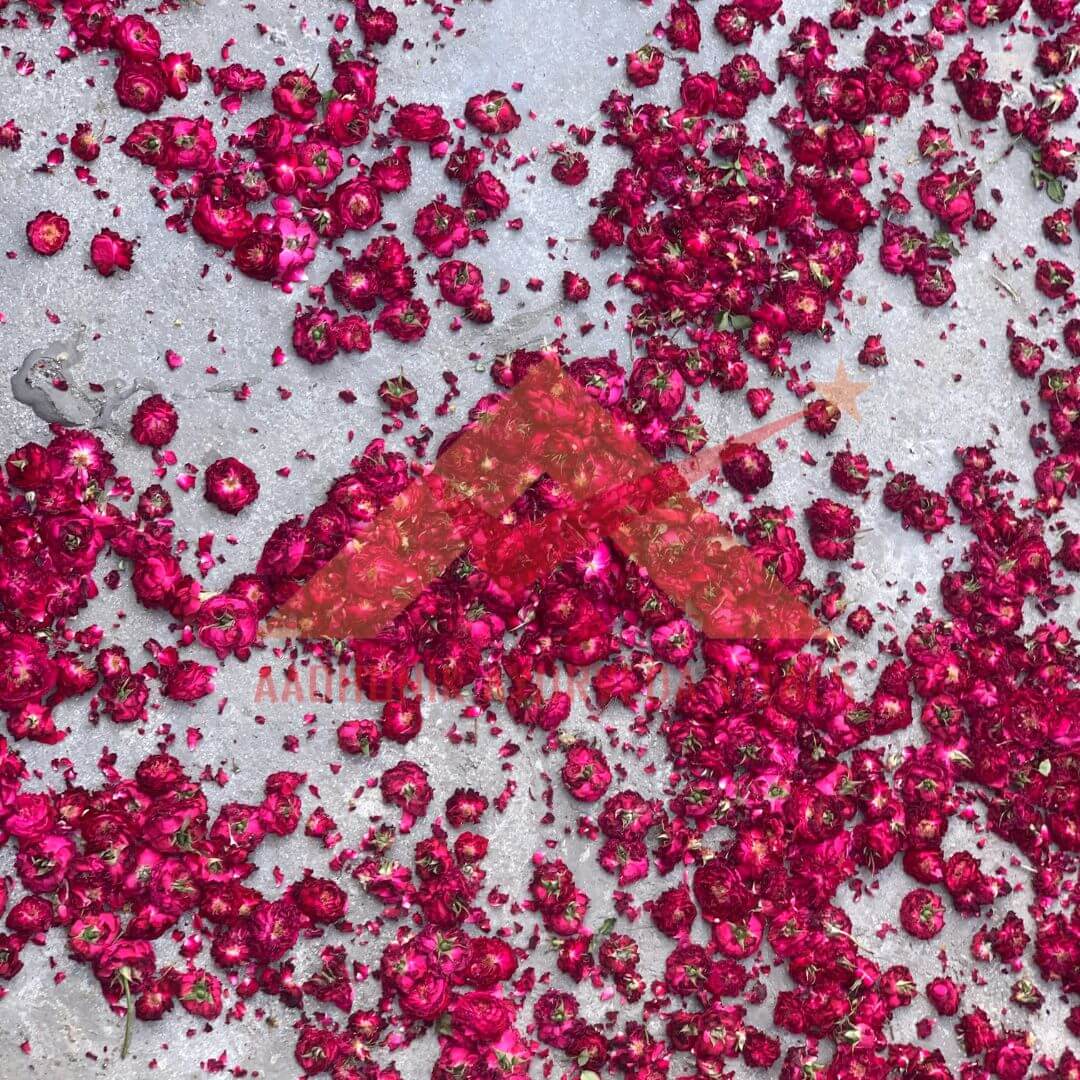 dry-rose-powder-manufacturer.jpg