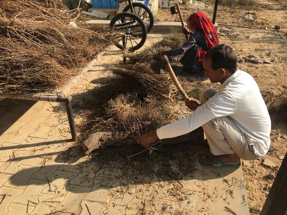farming-community-in-clean-green-skincare-and-wellness-products.jpg