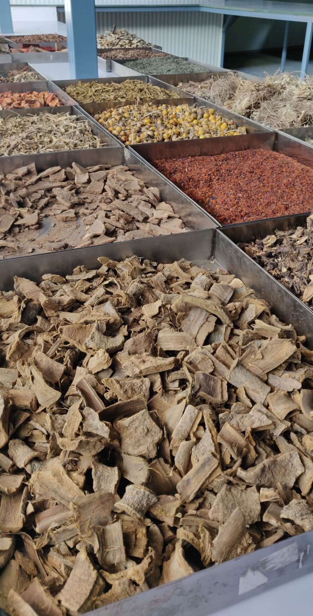 herbs-for-kumkumadi-oil-making.jpg