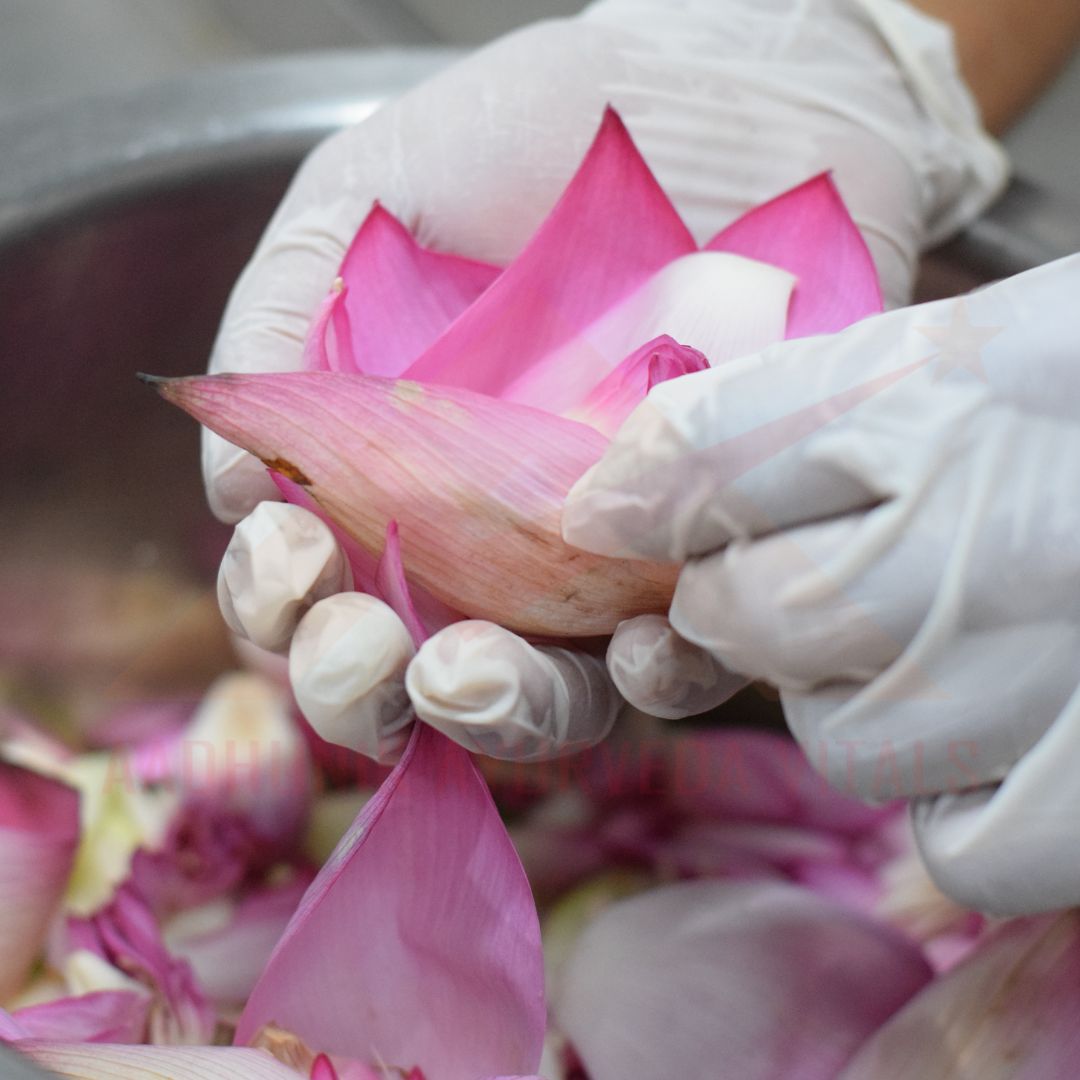 india-top-wholesale-organic-skincare-products-private-label-manufacturer.jpg