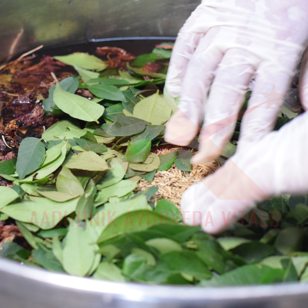 private-label-curry-leave-oil-manufacturer.jpg