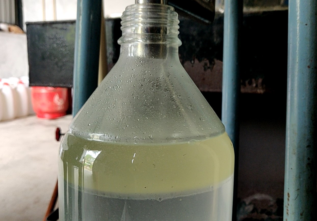 rosemary-essential-oil-making.jpg
