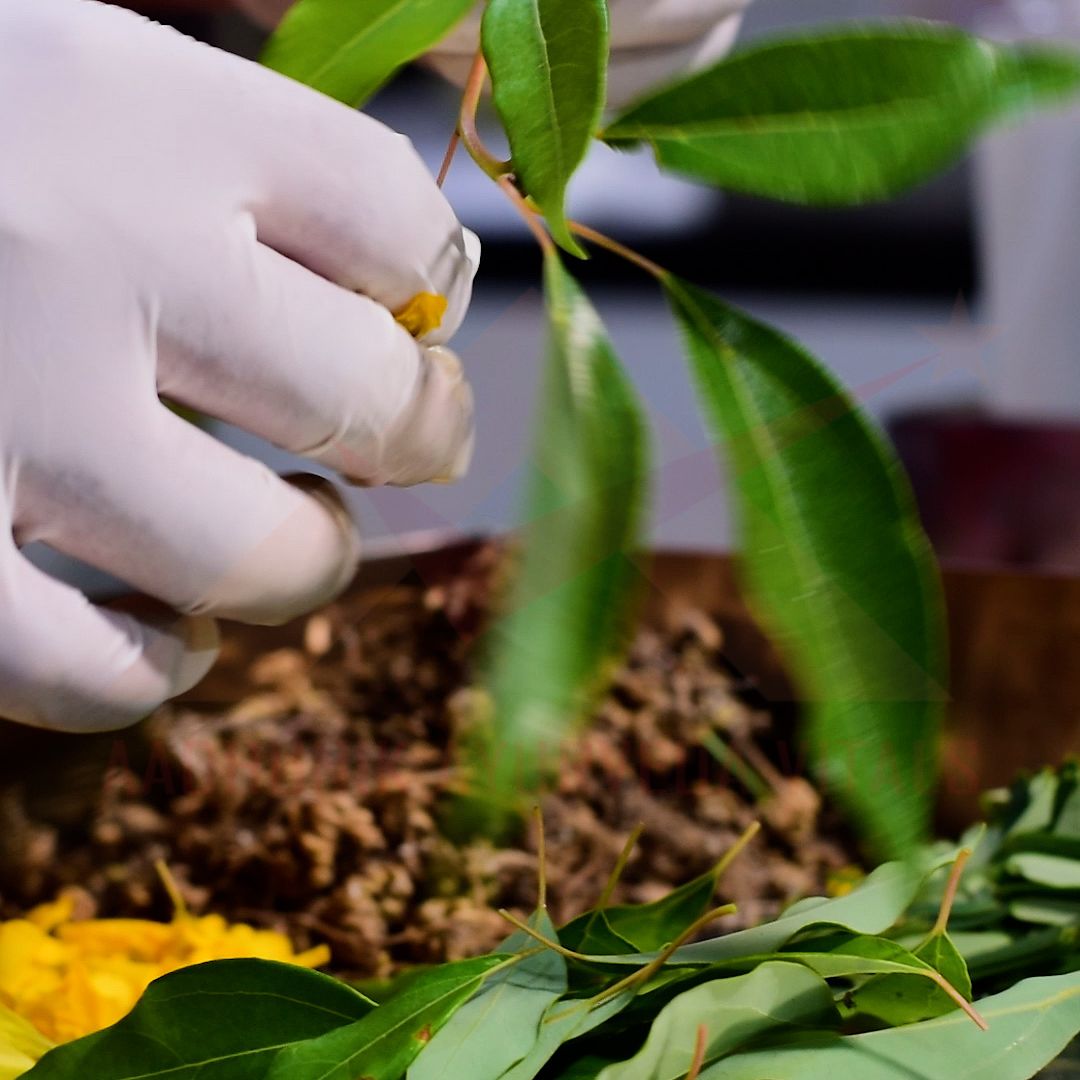 world-best-organic-herbal-skincare-products-manufacturers-in-india.jpg
