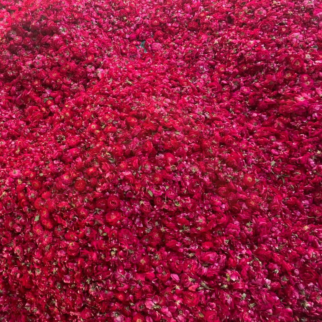 world-best-pure-herbal-rose-water-manufacturer-in-india.jpg