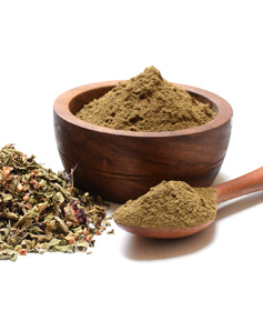 Basil-Powder