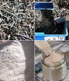 Bhringraj-powder-manufacturer