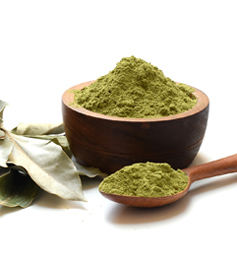 Camphor-Leaf-Powder