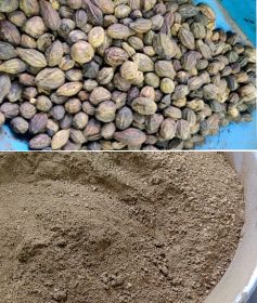 Haritaki Harad-powder-manufacturer
