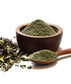 nettle-powder