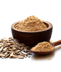 sunflower-seed-powder