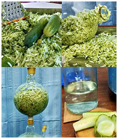 cucumber-hydrosol-essential-oil