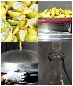 lemon-hydrosol-essential-oil