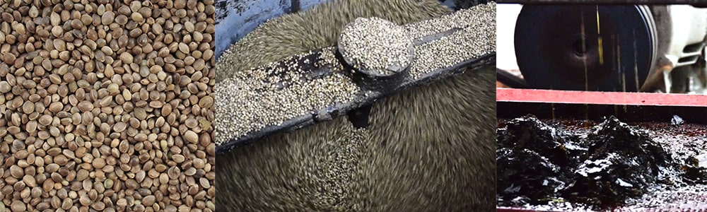 buy bulk hempseed-oil online